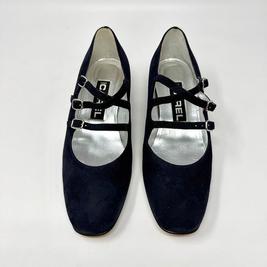 Carel Pumps