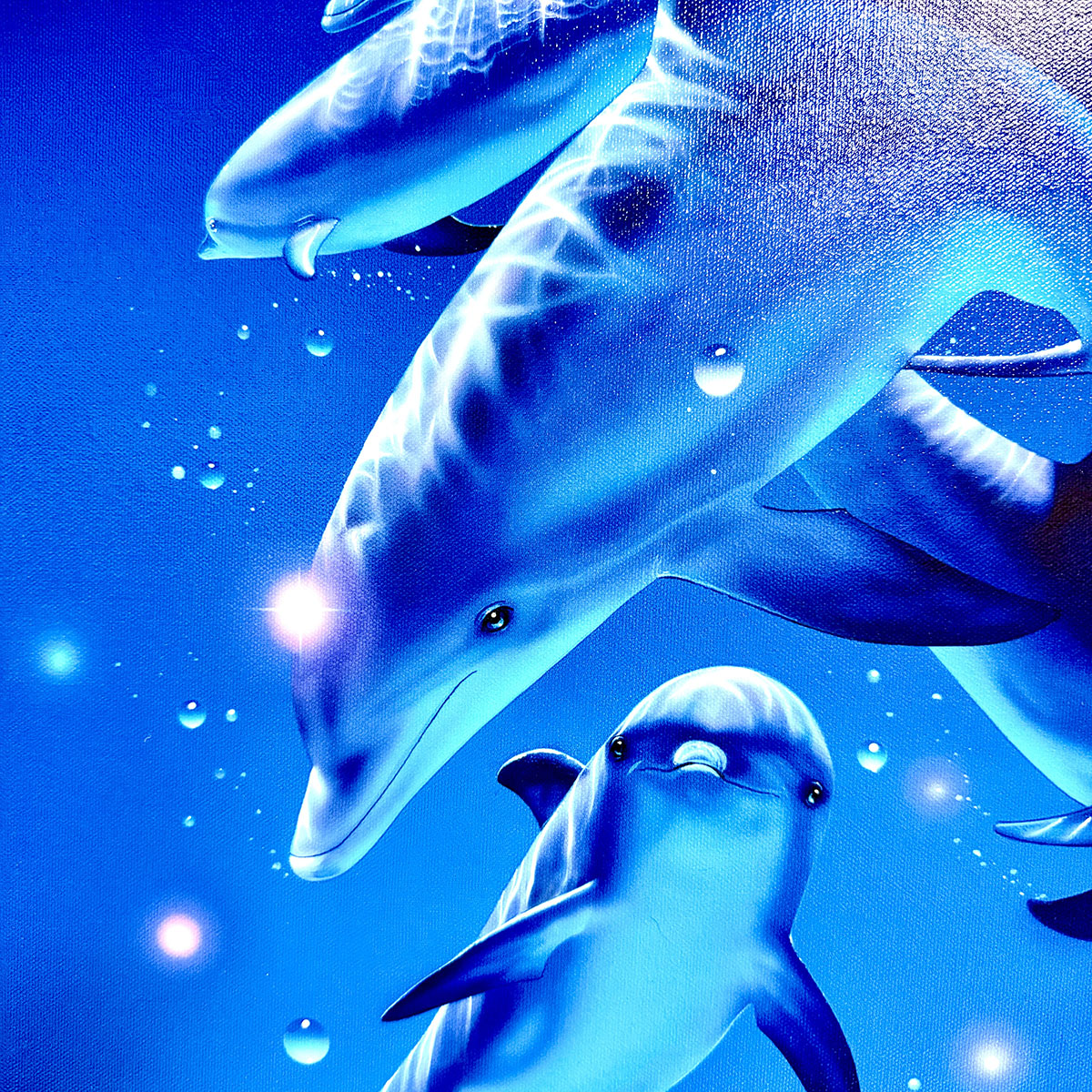 Framed Printed Canvas Dolphins  "Magical Moment"