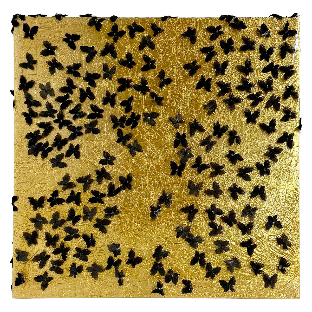 "Blackwater Butterflies on Golden Pond" Signed and Dated 2019 on reverse